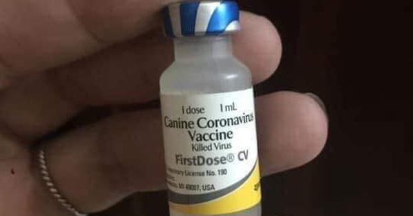 Có bất kỳ phương pháp nào khác để phòng tránh 7 bệnh của chó ngoài việc sử dụng vacxin?
