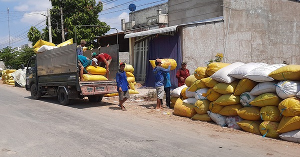 tuoitre.vn