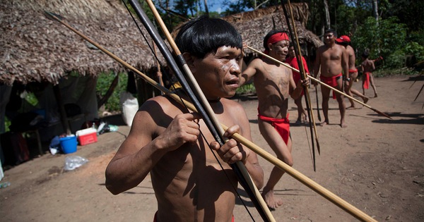 Dịch COVID-19 lan tới Amazon, đã có thổ dân đầu tiên mắc bệnh
