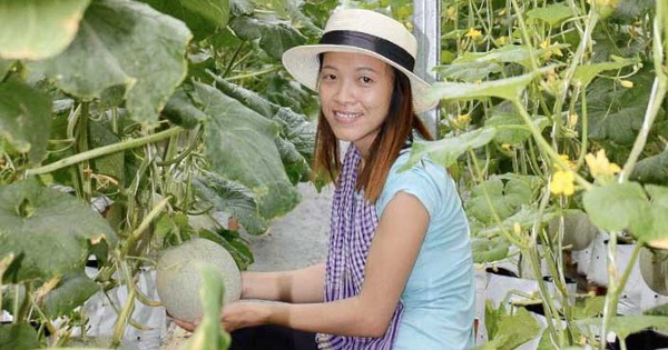 Những người trẻ lội ngược dòng ở miền Tây - Kỳ cuối: Hãy làm đi, để khỏi phải nuối tiếc