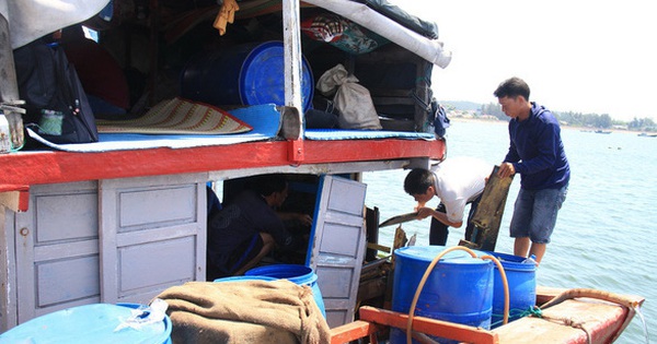 tuoitre.vn
