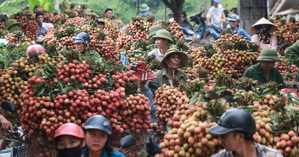 tuoitre.vn