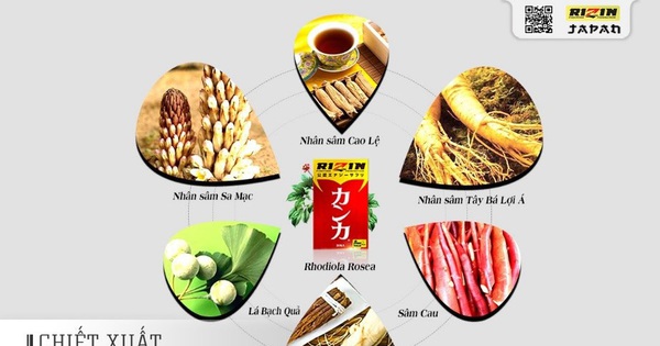 Thuốc Josephine Oyster Extract có tác dụng gì trong việc điều trị yếu sinh lý nam?
