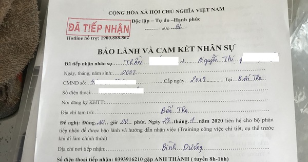 Giả mạo siêu thị tuyển dụng lừa đảo: bạn trẻ 'sụp bẫy' quá dễ dàng