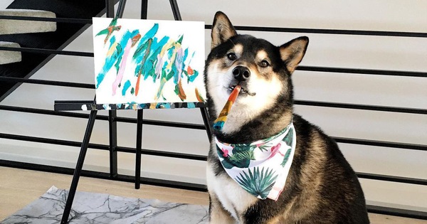 Chó Shiba Bán 288 Bức Tranh Tự Vẽ, Thu Gần 18.000 Usd - Tuổi Trẻ Online