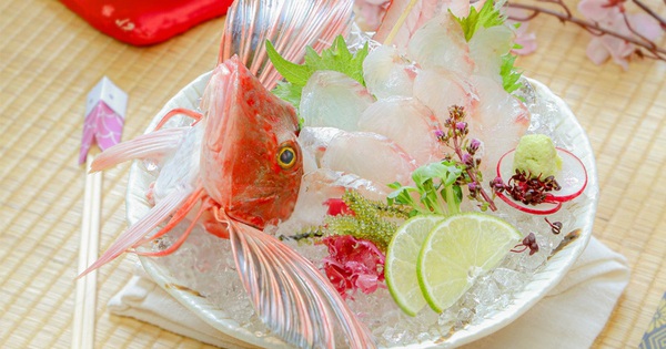 Houbou - Loài cá mùa xuân của giới thượng lưu Nhật Bản - Tuổi Trẻ Online