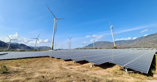 Trung Nam bất ngờ bán 49% cổ phần nhà máy điện mặt trời 204 MW tại Ninh Thuận - Tuổi Trẻ Online