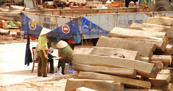 Làm rõ vụ tráo gỗ tang vật tại Cục Thi hành án dân sự Đắk Lắk vào đầu tháng 7-2021 - Vimarsana News