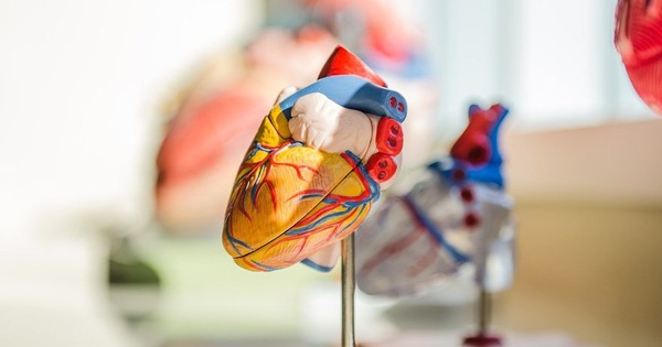 Trái tim nhân tạo là gì?
