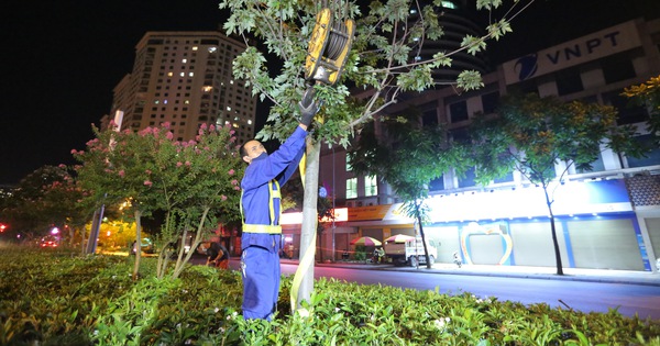 Hà Nội bứng dời hàng phong lá đỏ trong đêm - Tuổi Trẻ