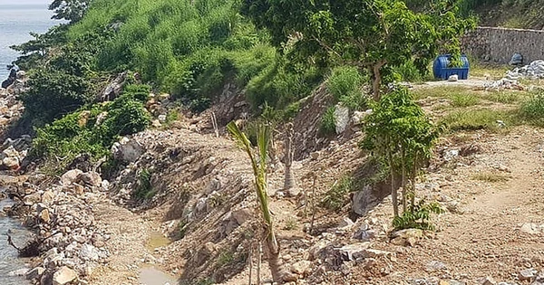Ban quản lý rừng Kiên Giang: Sai phạm hơn 6,5 tỉ đồng, nộp lại gần 5 tỉ - Vimarsana News
