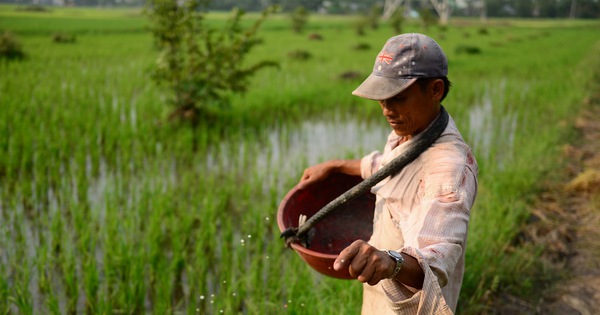 Không thể dừng xuất khẩu phân bón bất chấp giá trong nước đang tăng cao