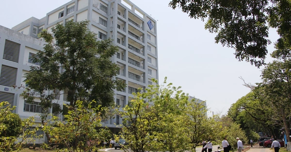 Thành lập 4 trường thuộc Trường đại học Cần Thơ - Vimarsana News