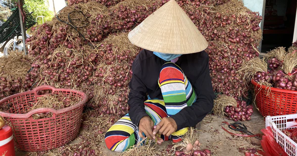Phụ hồ, xe ôm, người giúp việc, lượm ve chai… ở Sóc Trăng được hỗ trợ 1,5 triệu đồng - Vimarsana News