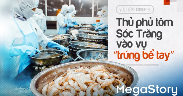 Vượt sóng COVID-19: Thủ phủ tôm Sóc Trăng vào vụ 'trúng bể tay' - Vimarsana News