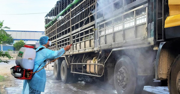 HỎI - ĐÁP về dịch COVID-19: Sau ngày 19-7, kiểm tra xe chở hàng qua khu vực có chỉ thị 16 ra sao? - Vimarsana News