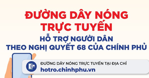 Công bố đường dây nóng trực tuyến hỗ trợ người dân theo Nghị quyết 68 của Chính phủ 2 do hoa duong day nong 1627020284615914020046 crop 1627020543725431171767