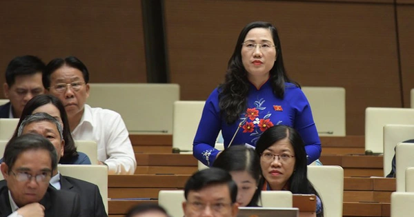 Đại biểu Quốc hội: Dập dịch COVID-19 quyết liệt nhưng không nên thái quá, cực đoan - Vimarsana News