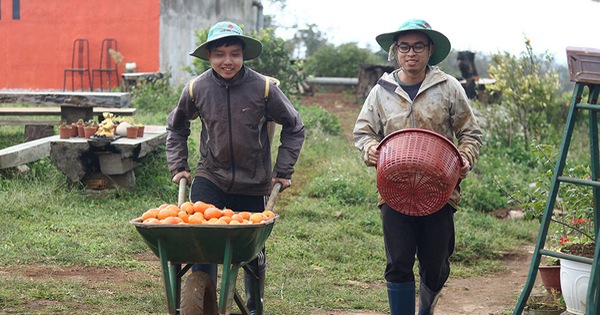 Kỹ sư IT bỏ phố về quê khởi nghiệp bằng mô hình trồng rau hộ