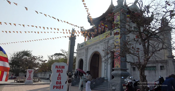Trở lại 'làng ăn mày' - Vimarsana News