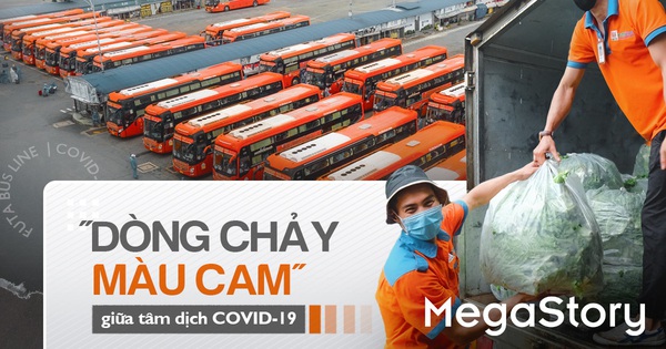 'Dòng chảy màu cam' giữa tâm dịch COVID-19 - Vimarsana News