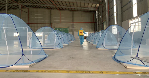 TP.HCM không áp dụng '4 xanh', doanh nghiệp '3 tại chỗ' không được đổi người sau 23-8 - Vimarsana News