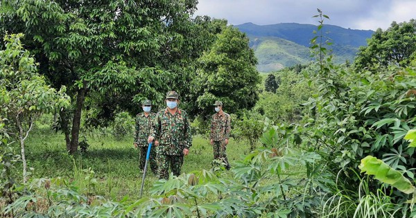 Đi tìm lan, hai thiếu niên bị lạc hai ngày đêm giữa rừng già biên giới - Vimarsana News