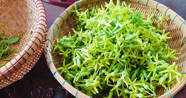 Tủ lạnh mùa giãn cách chẳng có thịt bò, thiên lý xào tỏi, ngon đến ngỡ ngàng - Vimarsana News