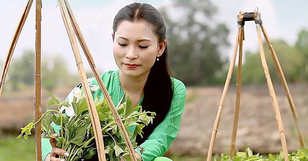 Ca khúc đậm chất miền Tây 'Dưới quê vui hơn' được yêu thích trên TikTok ở Mỹ - Vimarsana News