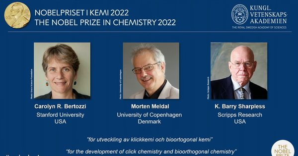 Tại sao Carolyn R. Bertozzi, Morten Meldal và K. Barry Sharpless được trao giải Nobel Hóa học năm 2022?
