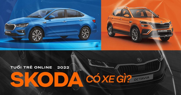 Những xe châu Âu Skoda có thể về Việt Nam đấu loạt xe Hàn, Nhật 2 skoda 1200 1645859305154226987714 crop 1645859773715718564700