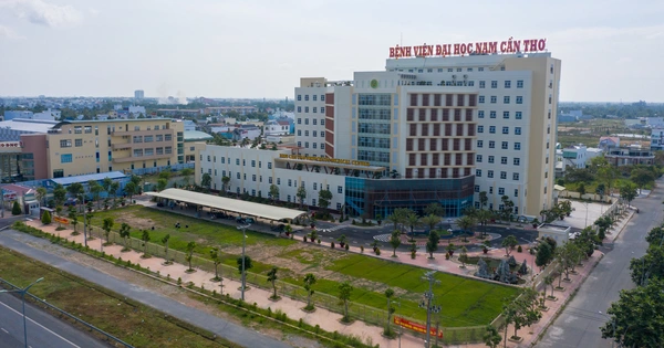 Trường Đại học Nam Cần Thơ - Đa dạng ngành đào tạo, mở rộng cơ hội việc làm
