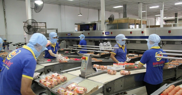 Từ ngày 2-4, TP.HCM tăng giá bán thịt, trứng gia cầm 7-14%