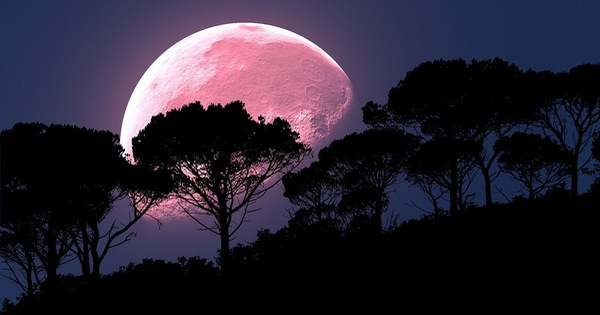 The amazing ‘Pink Moon’ in April