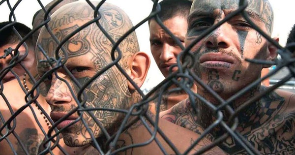 Part 3: The US police cut off the MS-13 octopus’s trunk