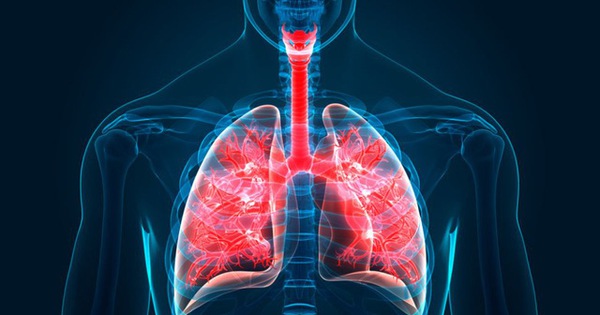 Discovered a completely new type of cell hidden inside the lungs