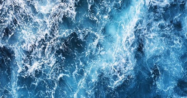 thumbnail - Các nhà khoa học cảnh báo đại dương đang bắt đầu 'mất trí nhớ'