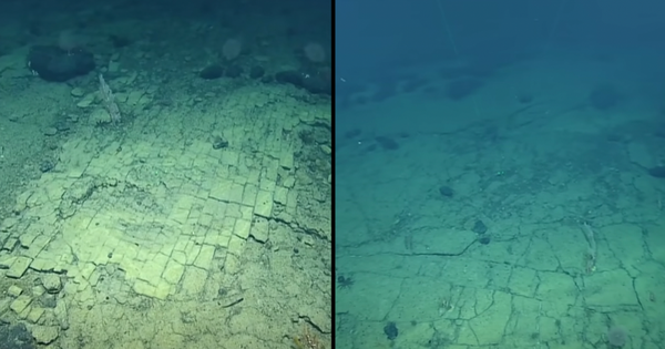 Strange ‘brick road’ discovered on the bottom of the Pacific Ocean