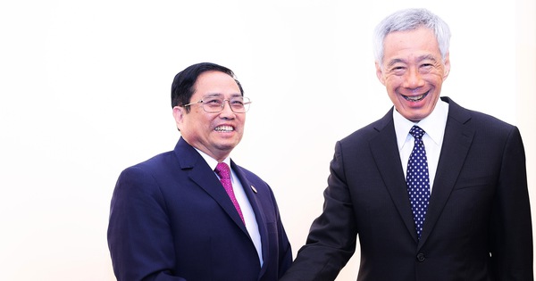 Prime Minister Pham Minh Chinh meets Singapore Prime Minister Lee Hsien Loong