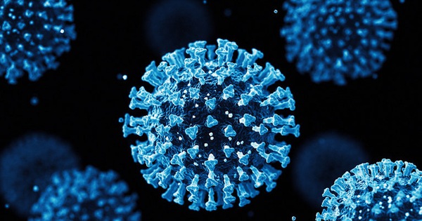 Belgian scientists discover a way to prevent SARS-CoV-2 virus