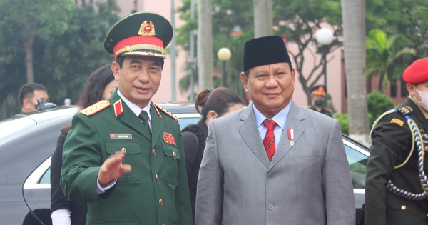 Indonesian Defense Minister pays official visit to Vietnam