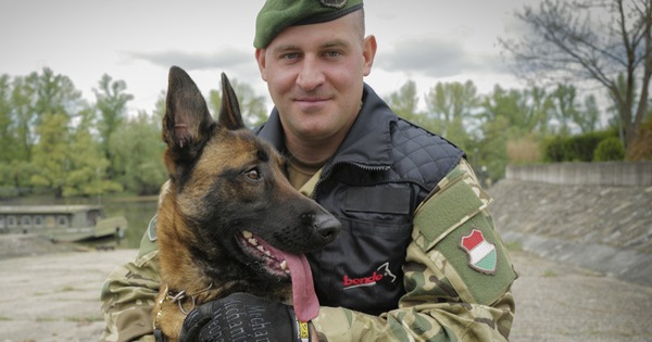 Abused dog joins Hungarian army, has a knack for ‘smells dynamite’