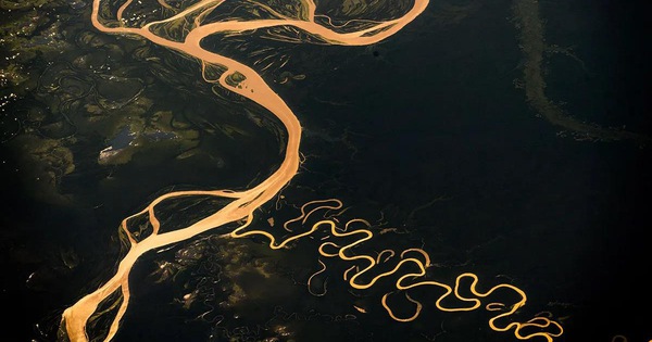 Vì sao không có cây cầu nào bắc qua sông Amazon? - Tuổi Trẻ Online