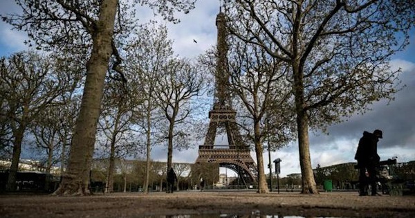 Paris City Hall cut 42 trees, including two hundred-year-old trees, public opinion strongly reacts