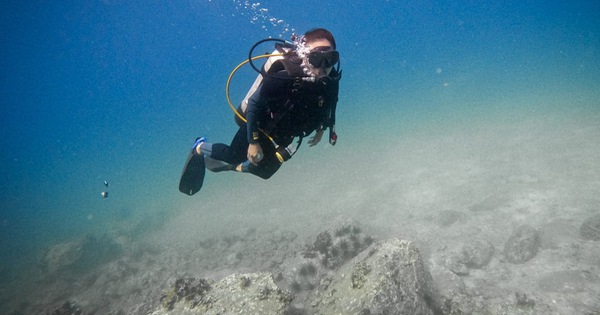 งดการท่องเที่ยวดำน้ำในอ่าวญาจางชั่วคราว เพื่อป้องกันปะการัง