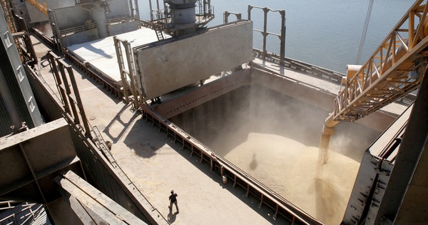 Belarus sets conditions for Ukraine to transship grain