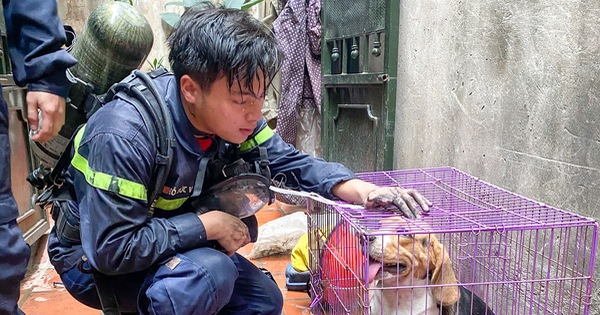thumbnail - Di ảnh người lính cứu hỏa Đỗ Đức Việt bên chú cún được cứu lay động cộng đồng mạng
