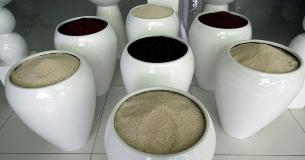 Bangladesh mua hàng trăm ngàn tấn gạo của Việt Nam