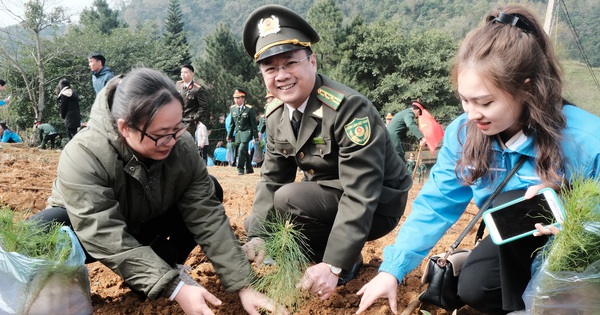 Trồng 20 triệu cây xanh năm 2023: Trồng bền vững, không chạy theo số liệu ảo