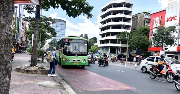 Vì sao tạm dừng 4 tuyến xe buýt ở TP.HCM?